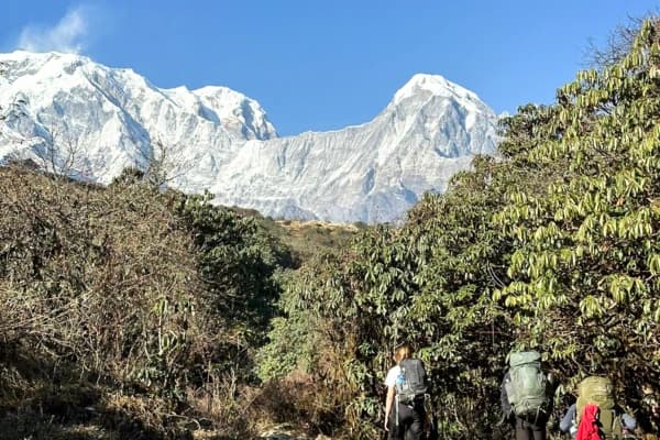 why you should trek to mardi himal
